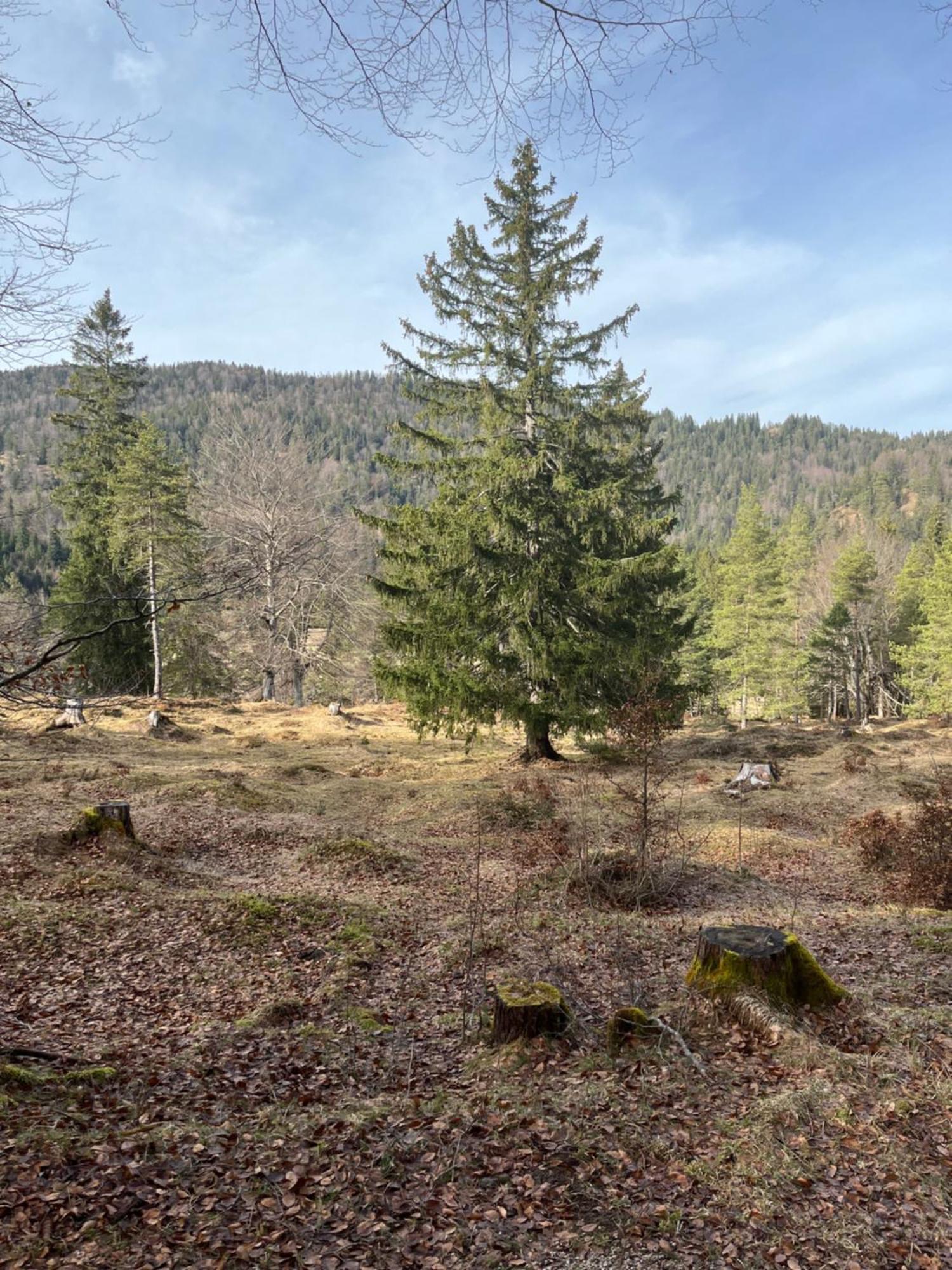 Fewo Lautersee Mittenwald Bagian luar foto