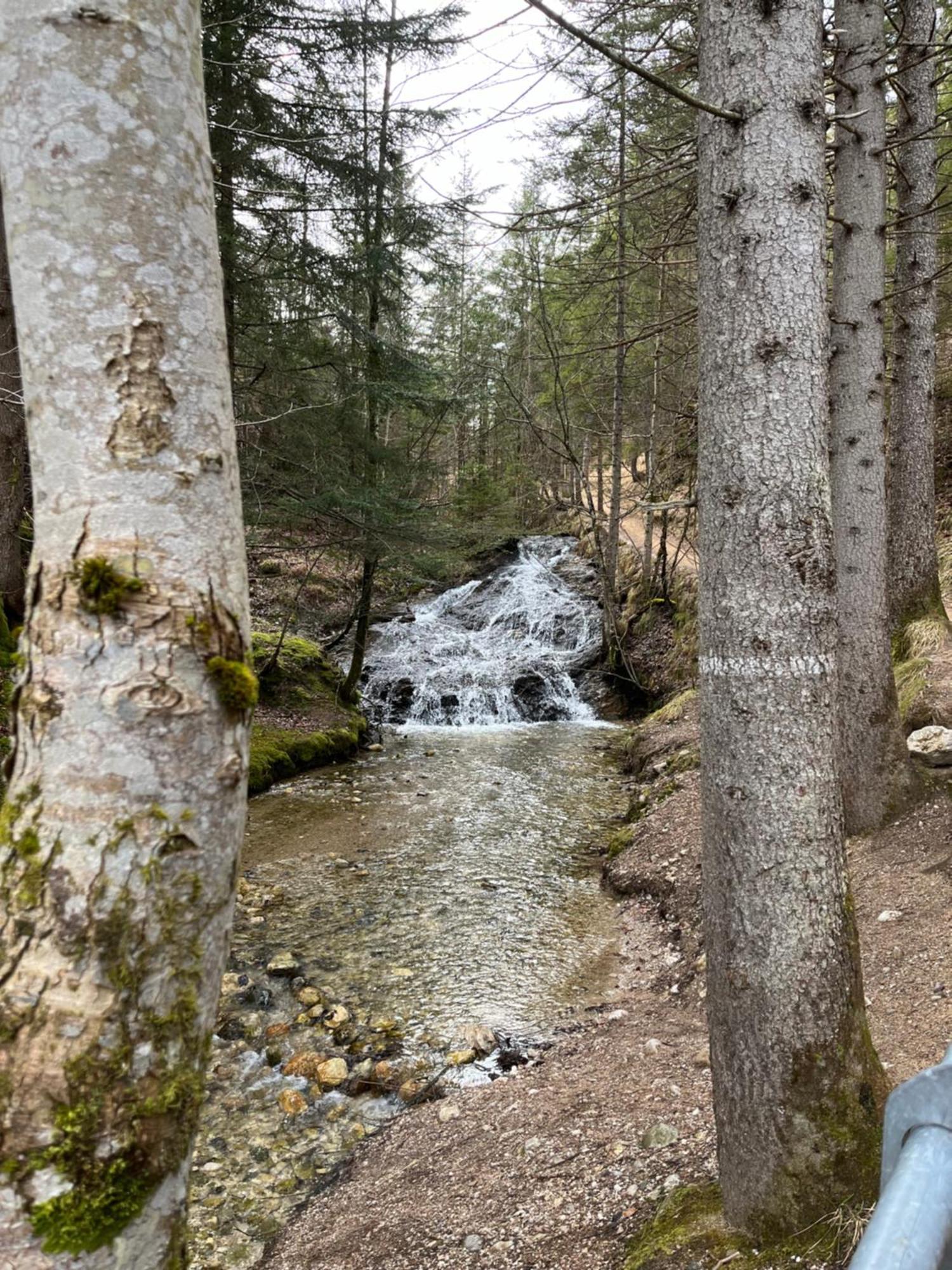 Fewo Lautersee Mittenwald Bagian luar foto