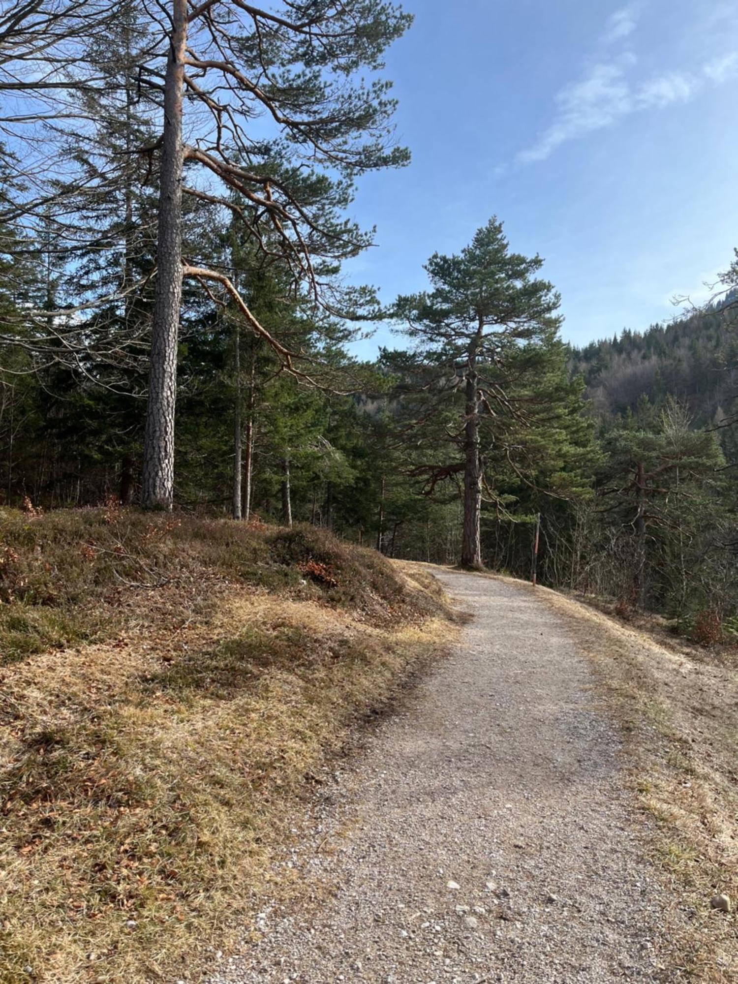 Fewo Lautersee Mittenwald Bagian luar foto