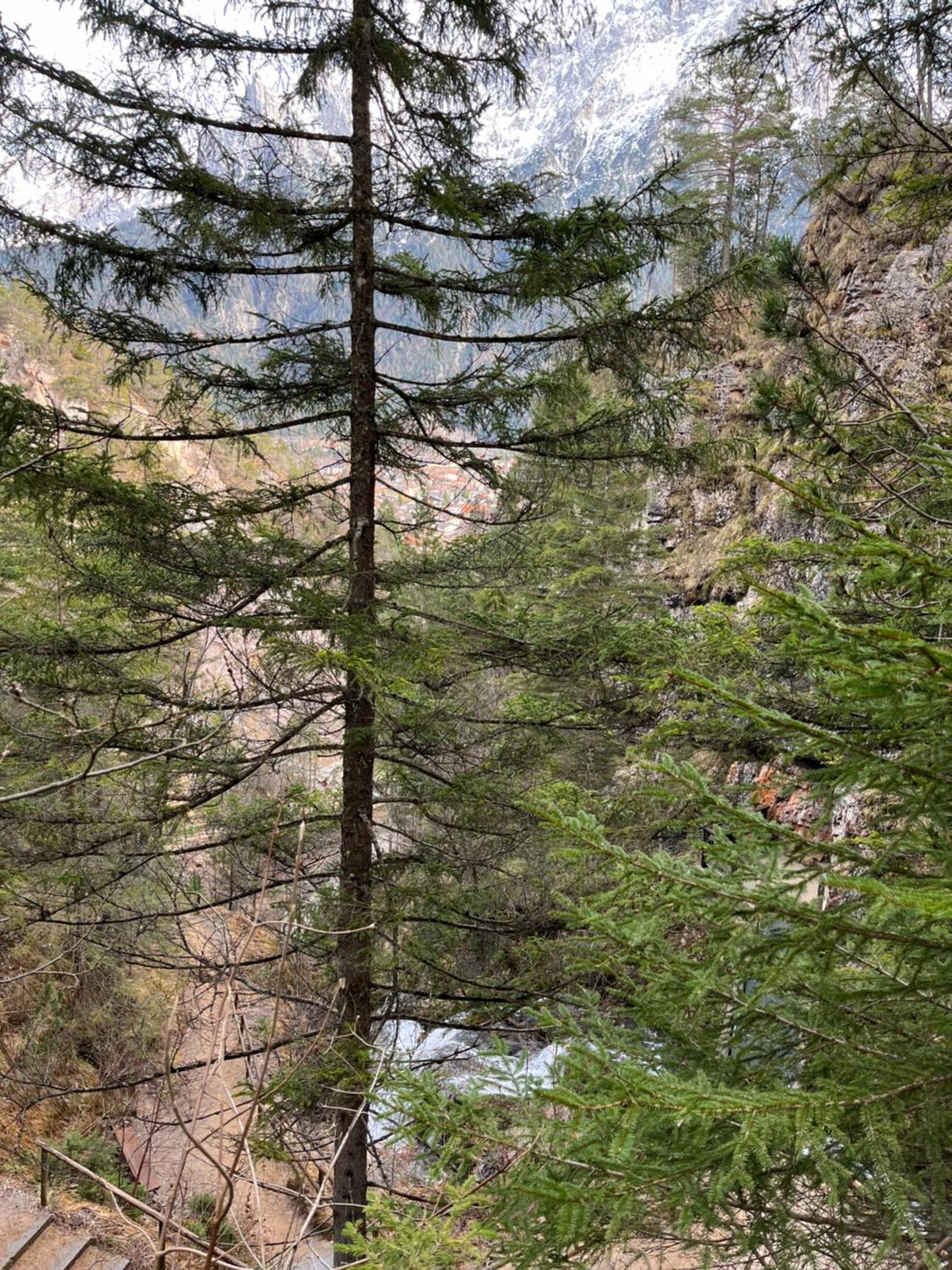 Fewo Lautersee Mittenwald Bagian luar foto
